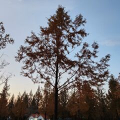 협소공간 주차 이제 가능해요!