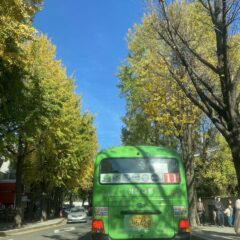 운전이 즐거워졌어요