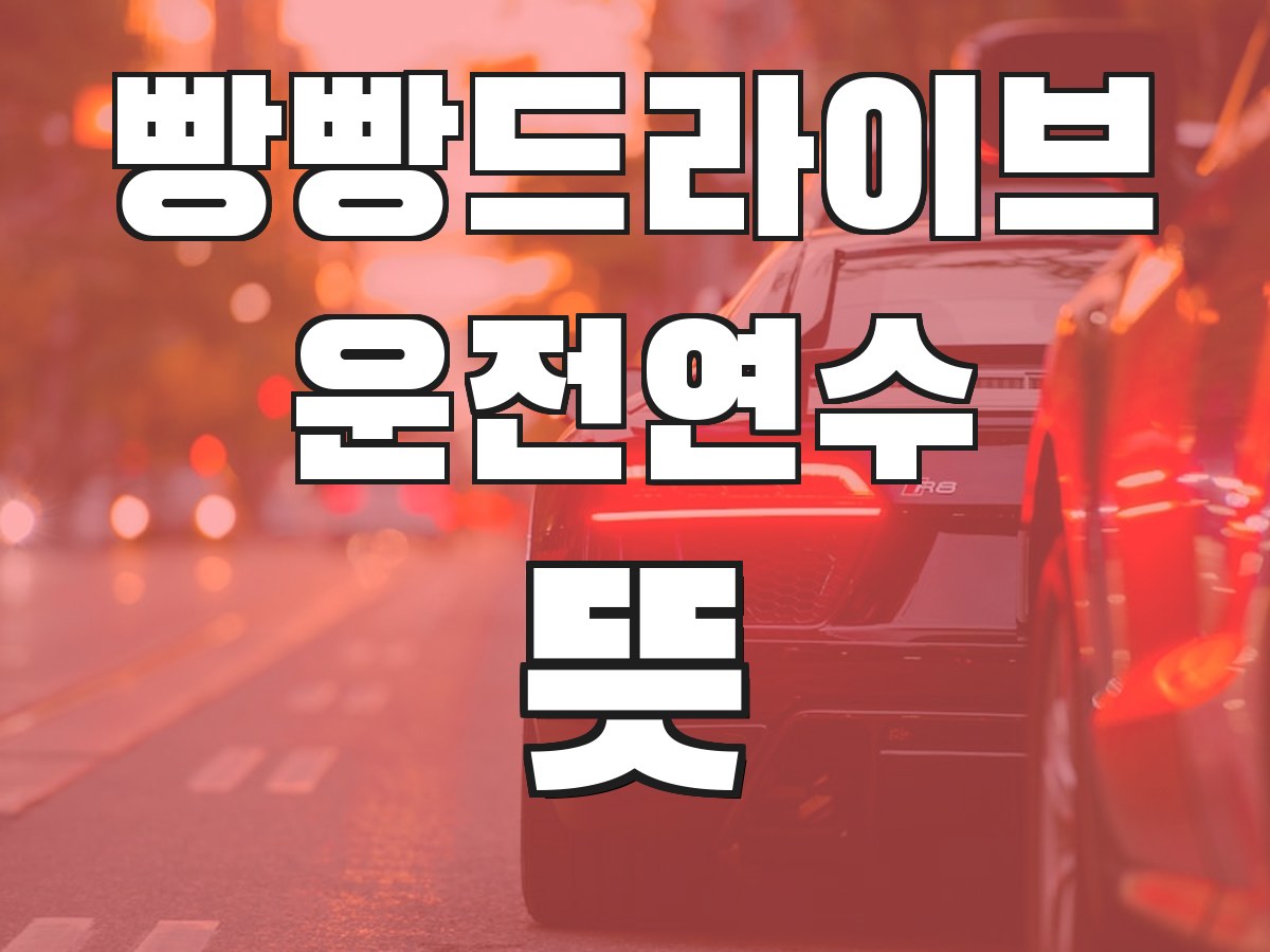 빵빵드라이브 운전연수 뜻 - 운전연수의 의미와 필요성