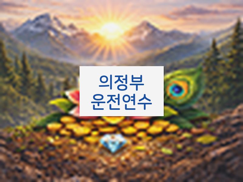 의정부운전연수 후기