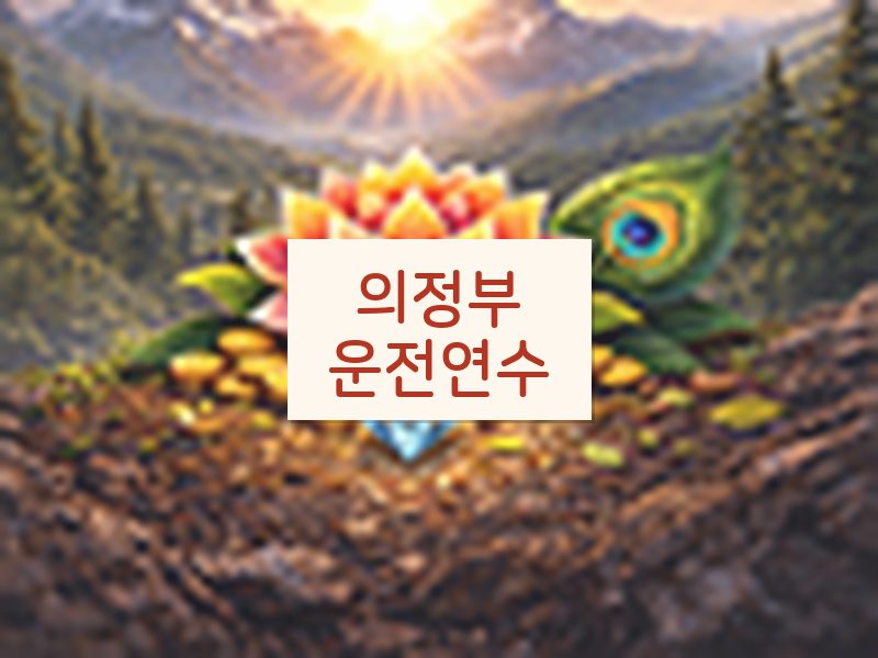 의정부운전연수 후기