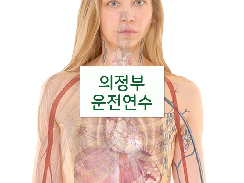 의정부운전연수 후기
